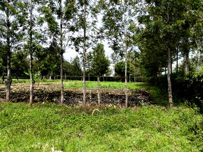 Leafy Quarter Acre Plot in Ngong, Matasia Along Oloika Road - Image 1