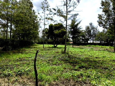 Leafy Quarter Acre Plot in Ngong, Matasia Along Oloika Road - Image 2