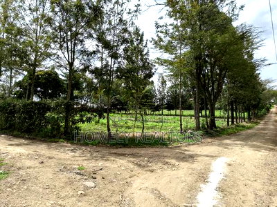 Leafy Quarter Acre Plot in Ngong, Matasia Along Oloika Road - Image 5