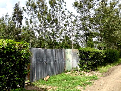 Leafy Quarter Acre Plot in Ngong, Matasia Along Oloika Road - Image 4