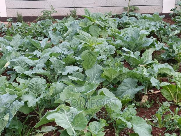 5bdrm Townhouse/Terrace in Milimani, Kitengela for sale