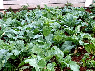 5bdrm Townhouse/Terrace in Milimani, Kitengela for sale - Image 8