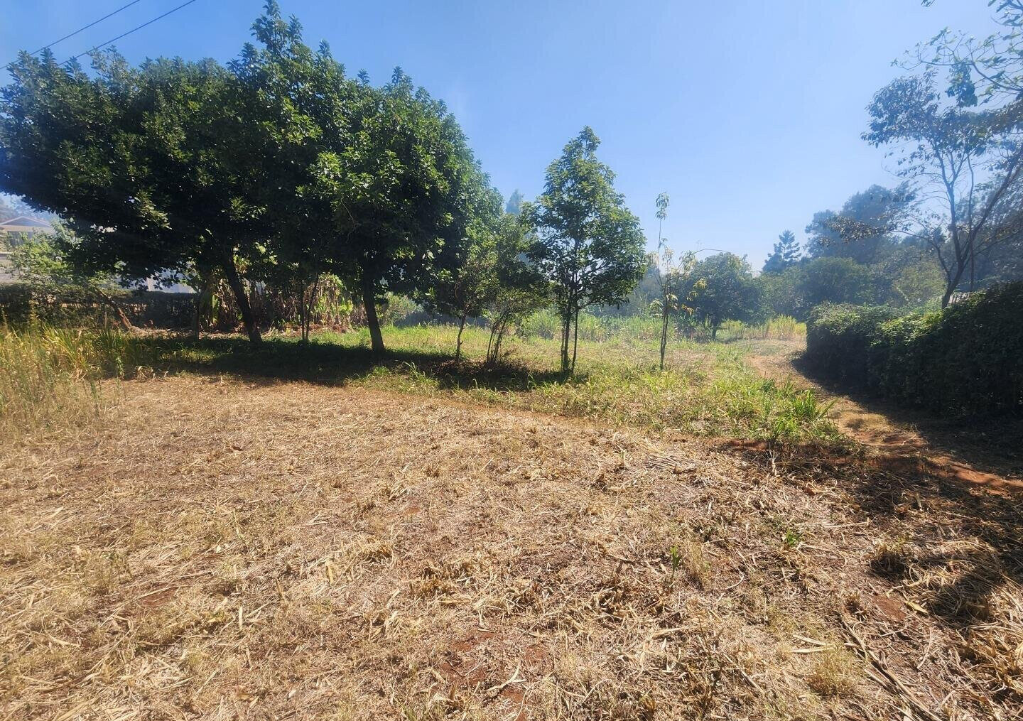 KSh 20M Pet Friendly Plot in Kerarapon