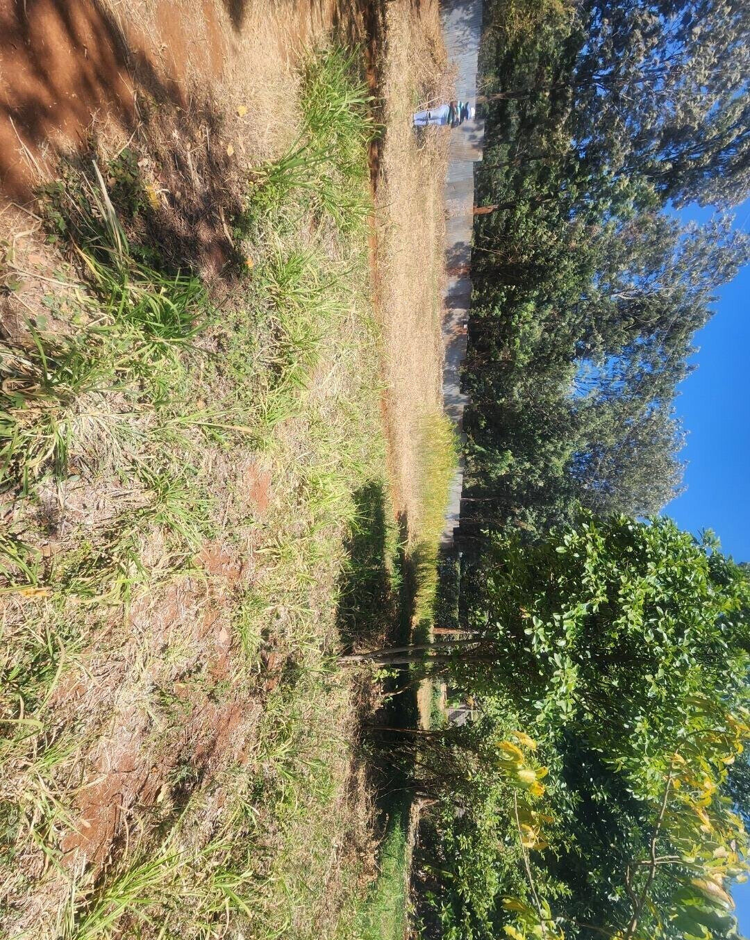 KSh 20M Pet Friendly Plot in Kerarapon