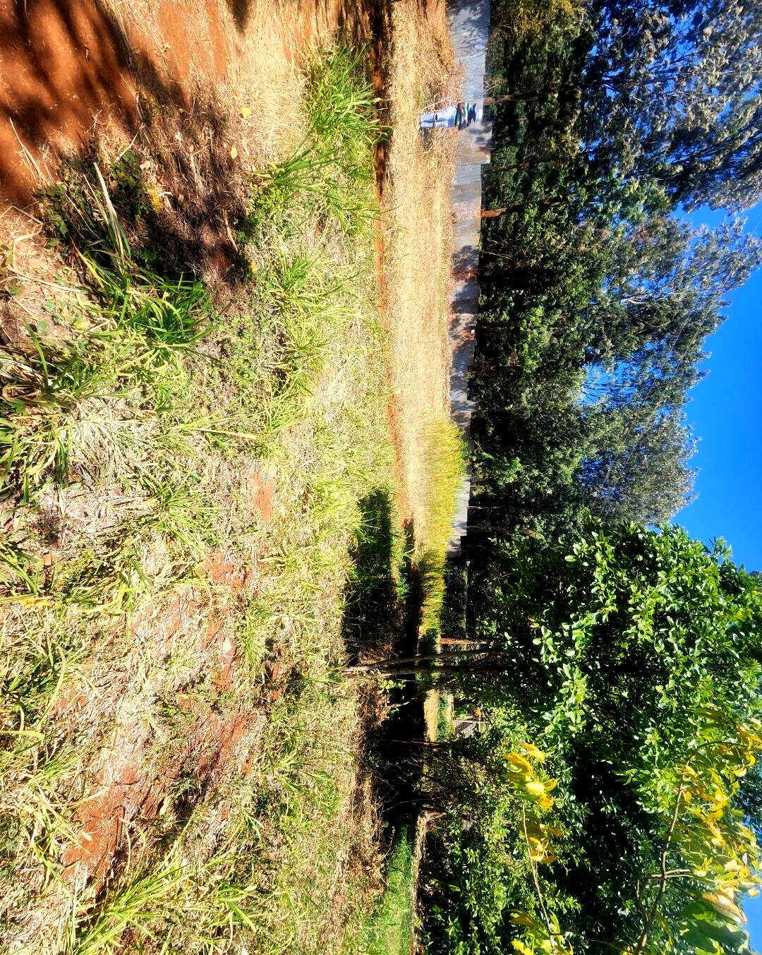 KSh 20M Pet Friendly Plot in Kerarapon