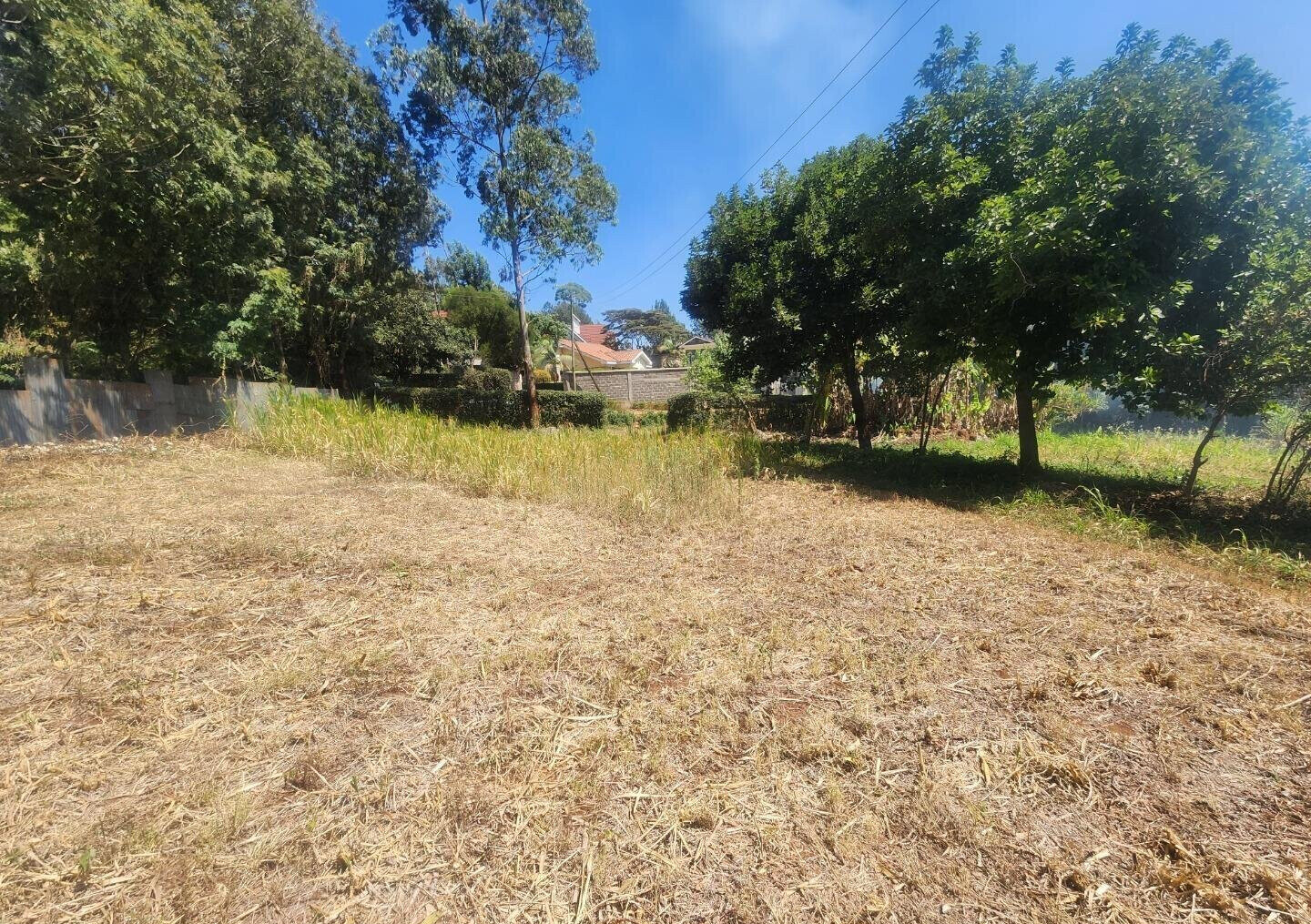 KSh 20M Pet Friendly Plot in Kerarapon