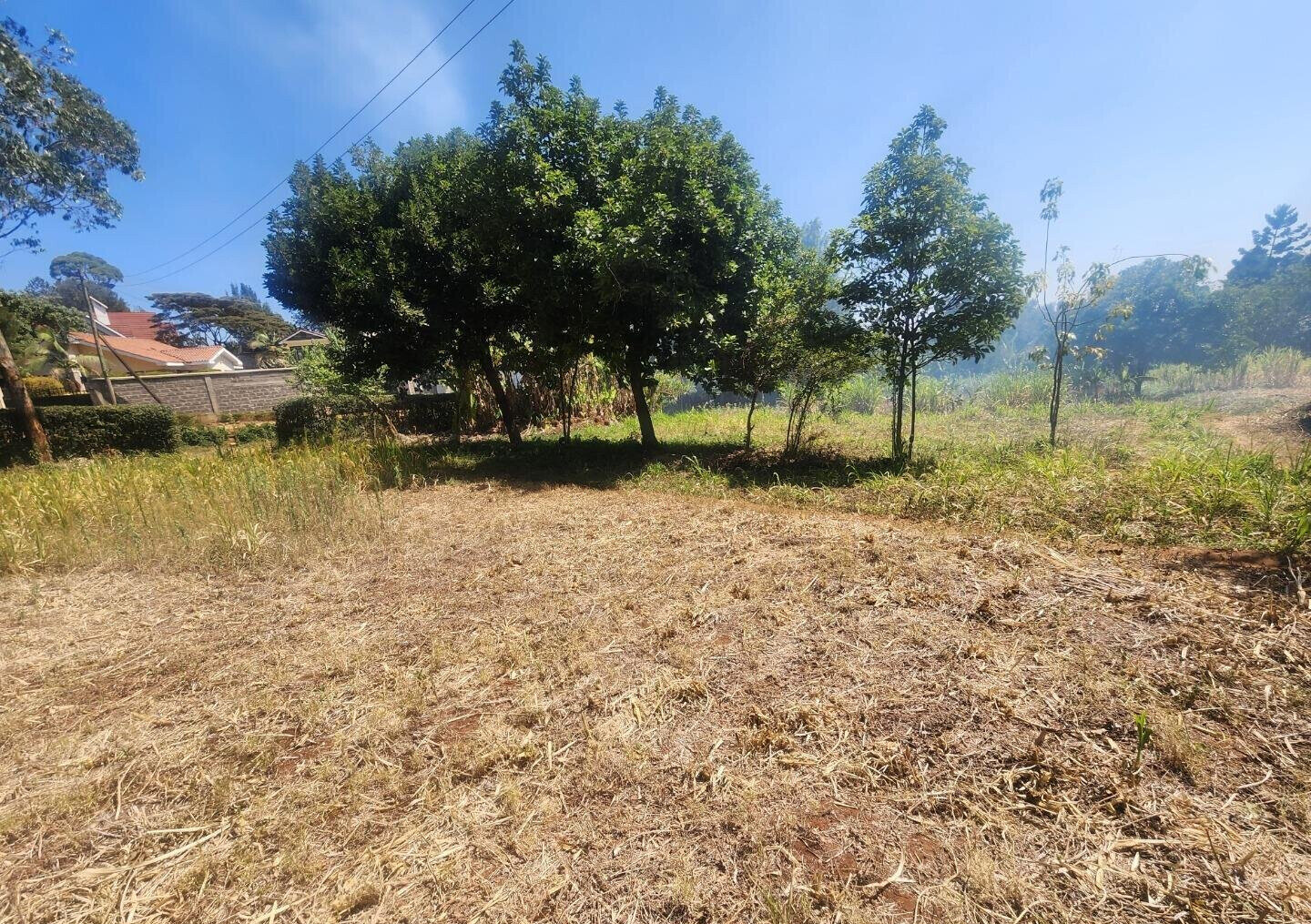 KSh 20M Pet Friendly Plot in Kerarapon