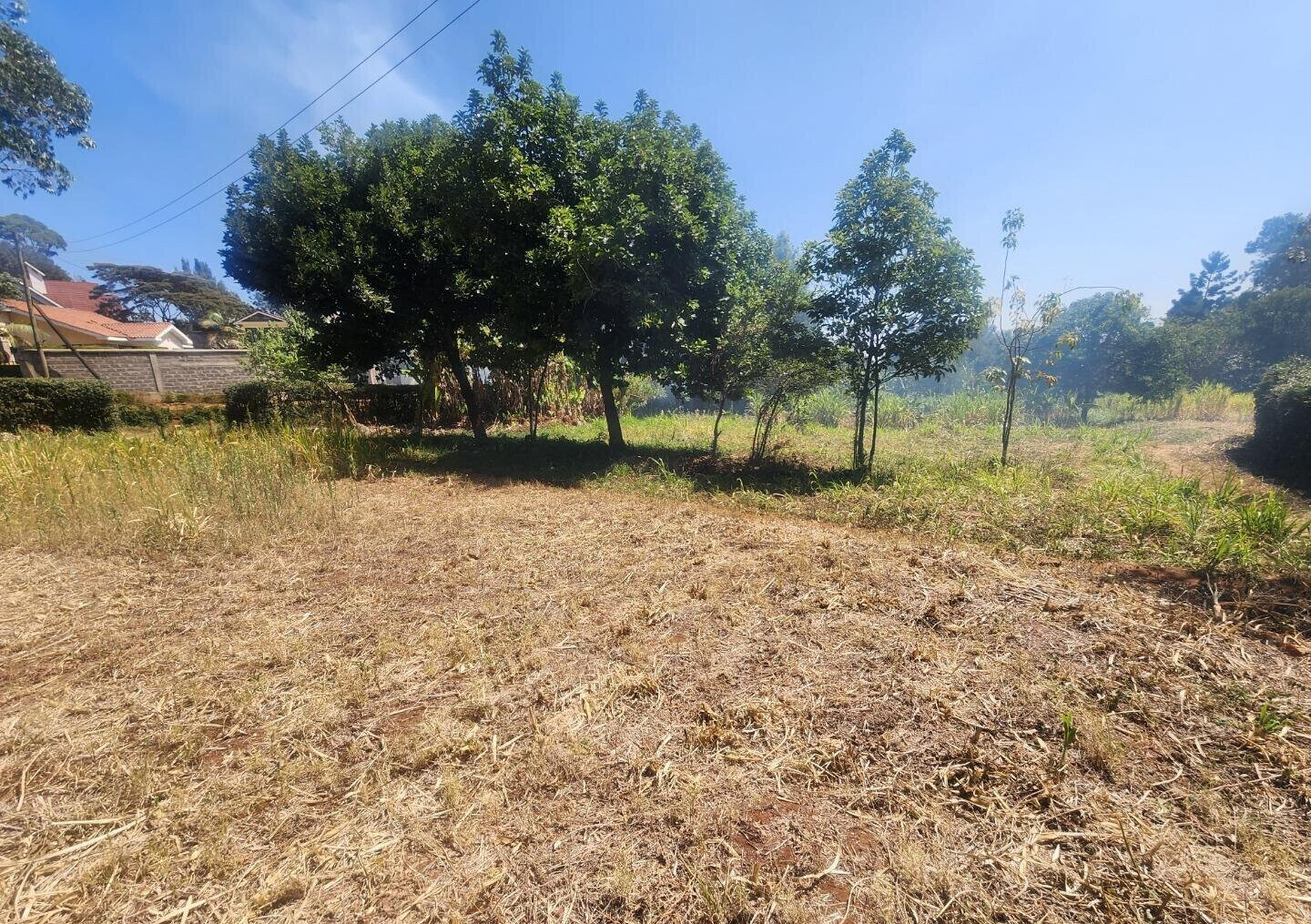 KSh 20M Pet Friendly Plot in Kerarapon