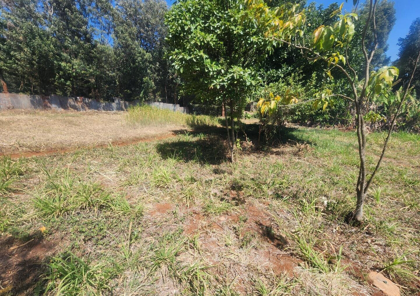 KSh 20M Pet Friendly Plot in Kerarapon
