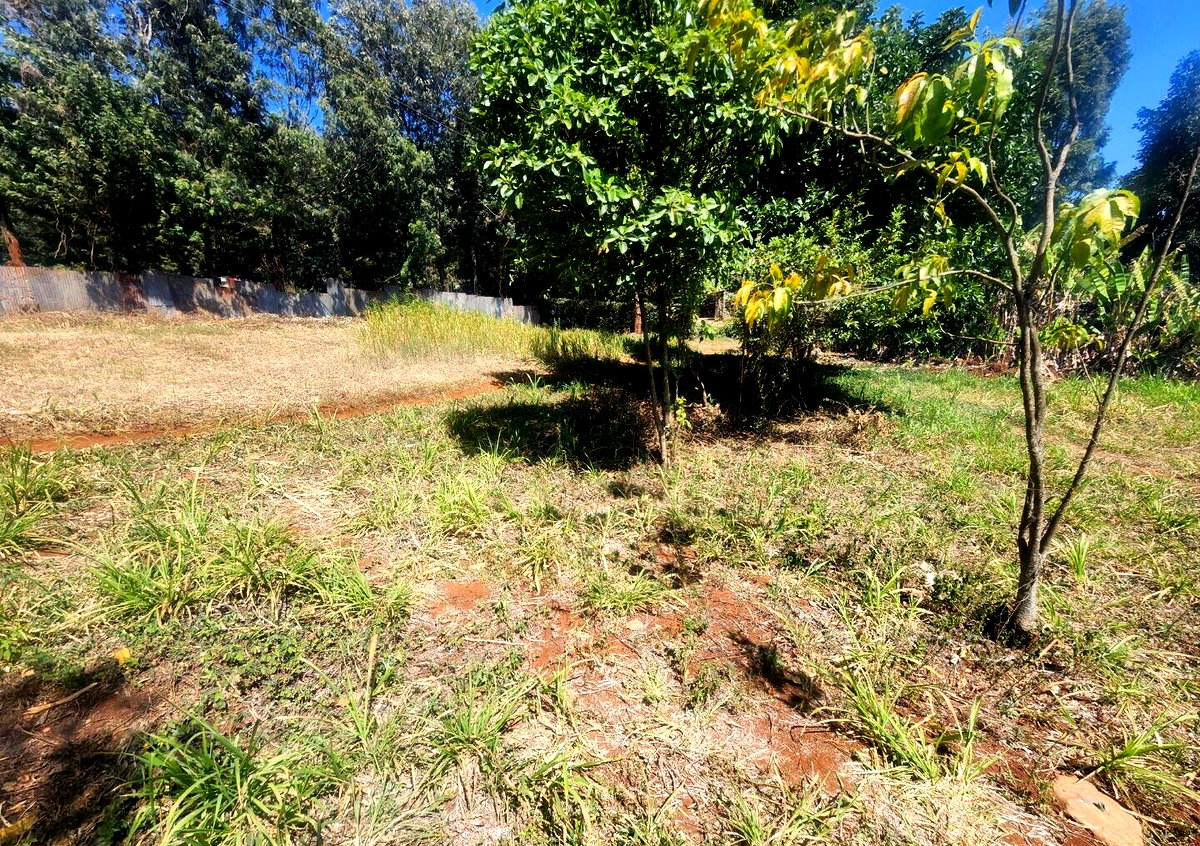 KSh 20M Pet Friendly Plot in Kerarapon