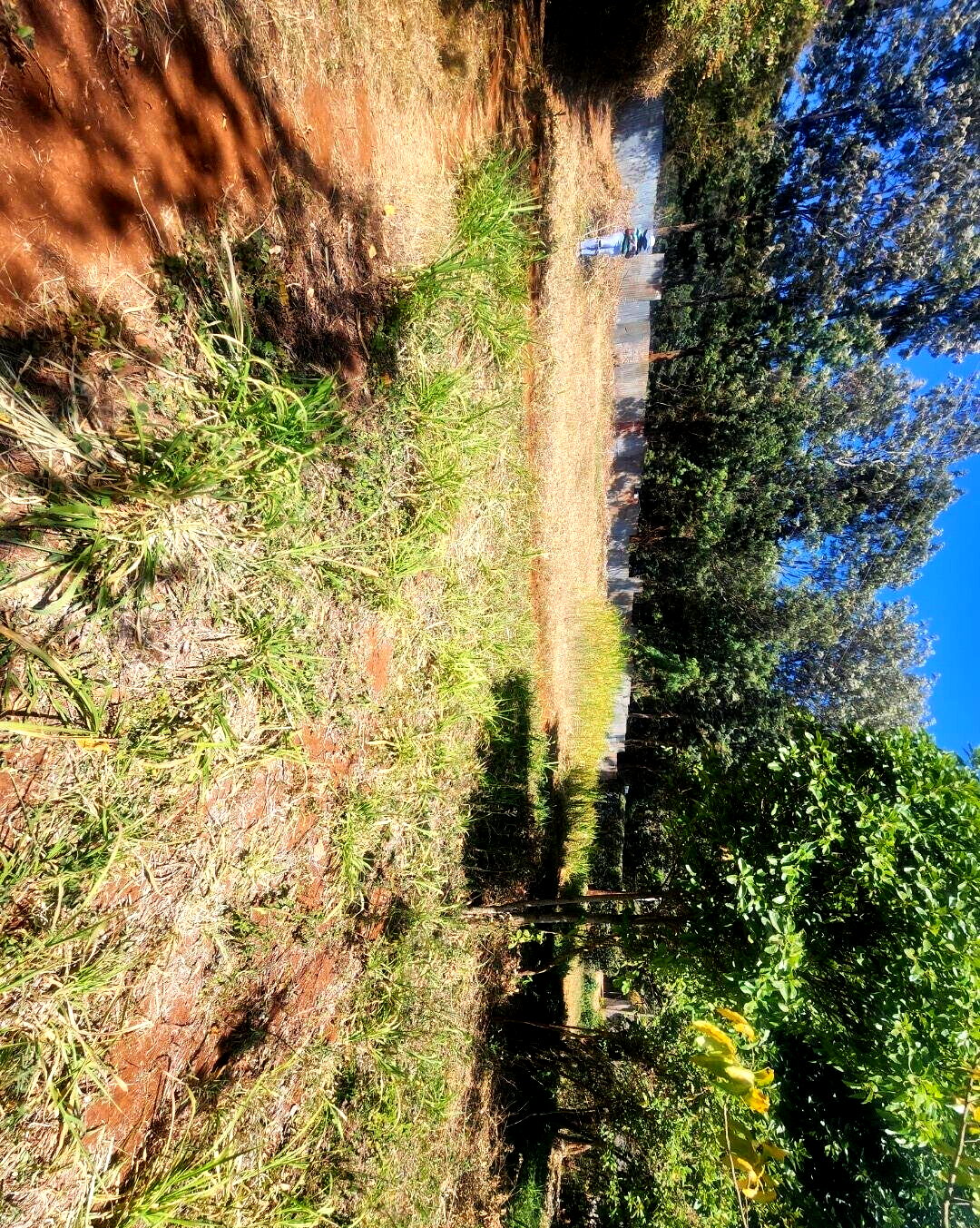 KSh 20M Pet Friendly Plot in Kerarapon