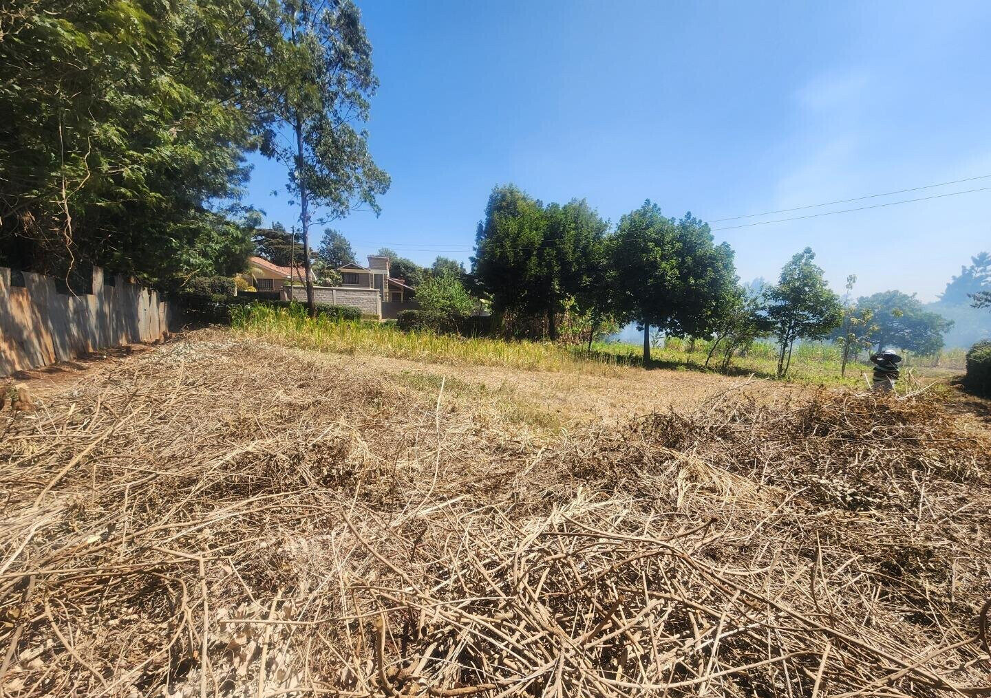 KSh 20M Pet Friendly Plot in Kerarapon