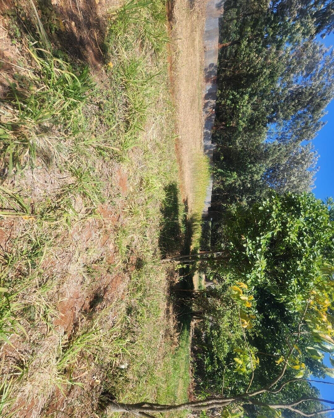 KSh 20M Pet Friendly Plot in Kerarapon