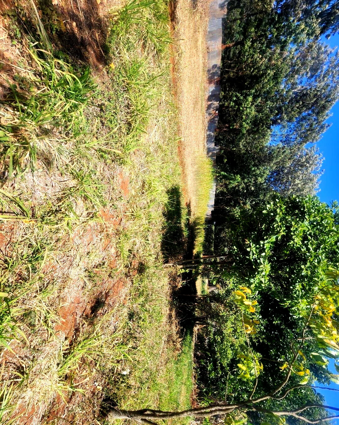 KSh 20M Pet Friendly Plot in Kerarapon