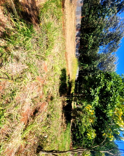 KSh 20M Pet Friendly Plot in Kerarapon