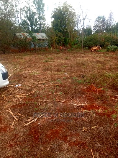 Thindigua Prime Plot 0.75acre - Image 3