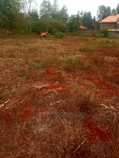 Thindigua Prime Plot 0.75acre - Image 4