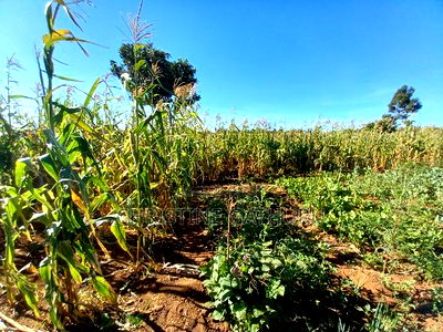 2bdrm Bungalow in Kamangu, Kikuyu for sale - Image 9