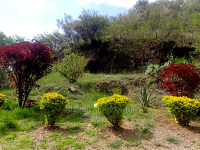 Prime Land Opposite Great North Rift ,3 Acres - Image 8