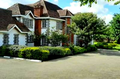 Relaxing Breather Stunning Office Space - Image 1