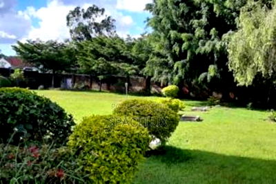 Relaxing Breather Stunning Office Space - Image 2