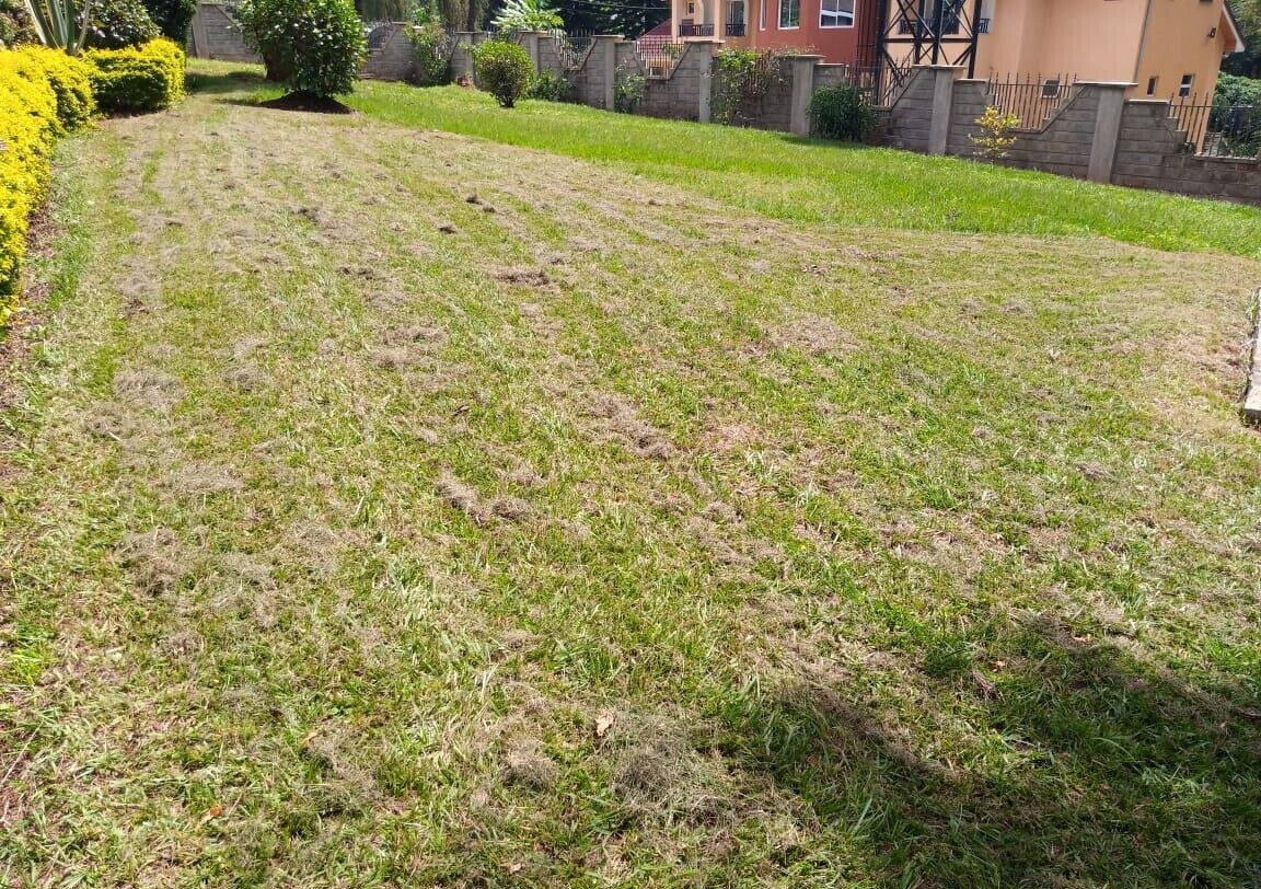 Quarter Acre Garden Home at KSh 350K