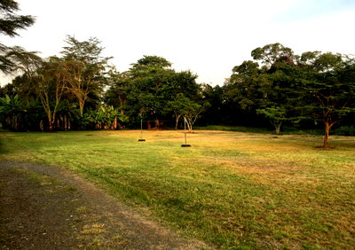 Half Acre Plot for KSh 55M