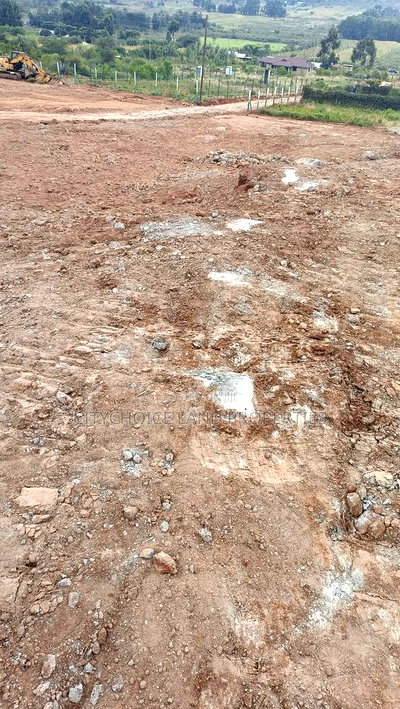 Kikuyu 50x100 Investment Hotspot - Only 15 Plots Left! - Image 1