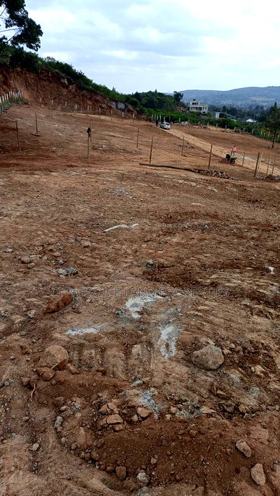 Kikuyu 50x100 Investment Hotspot - Only 15 Plots Left! - Image 3