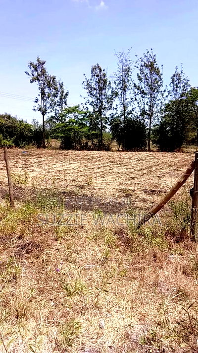 100*100ft Plot for Sale Touching Kenol Marua Highway - Image 4