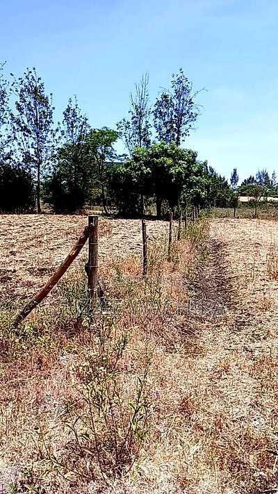 100*100ft Plot for Sale Touching Kenol Marua Highway - Image 7