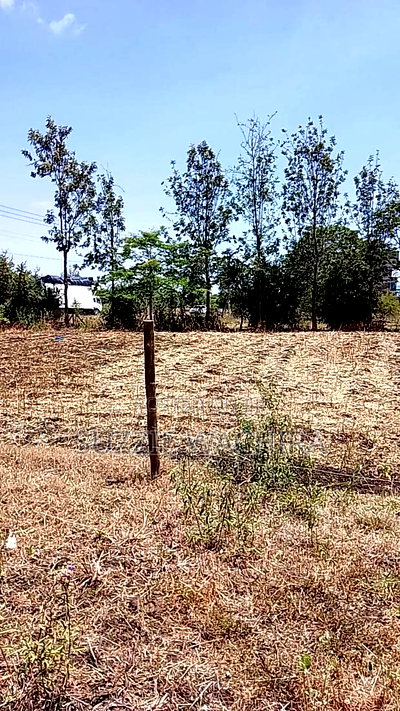 100*100ft Plot for Sale Touching Kenol Marua Highway - Image 2