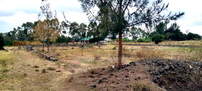 Commercial Plots for Sale in Tuala - Image 4
