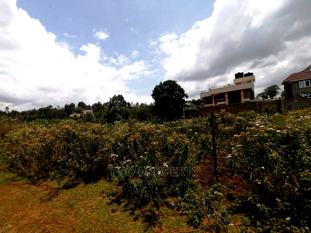 Prime Plots For Sale In Kikuyu, Gikambura.