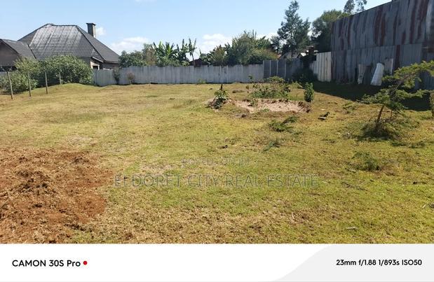 1/4 Kimumu With Title.