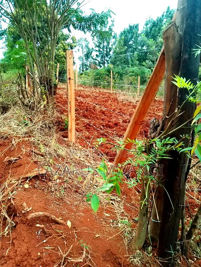 Half Acre of Land for Sale at Kirima Kirinyaga Gatuto - Image 7