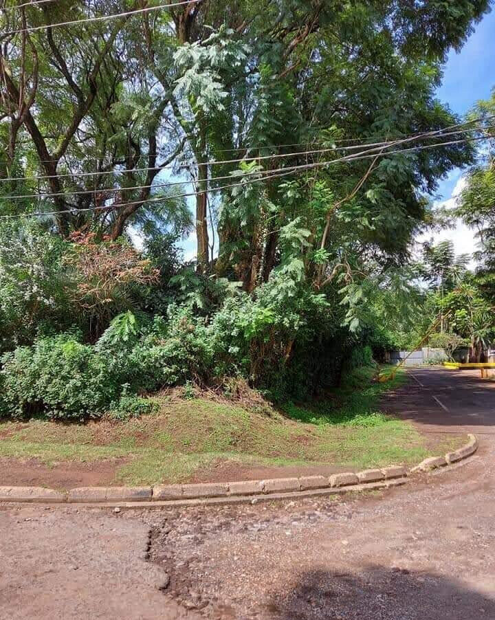 0.5 Acre Riverside Plot for KSh 210M