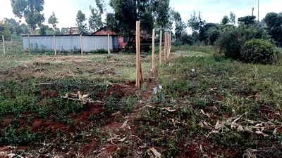 Strategic Plot for Sale - Kikuyu Kerwa - Image 6