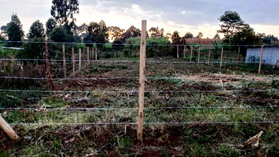 Strategic Plot for Sale - Kikuyu Kerwa - Image 2