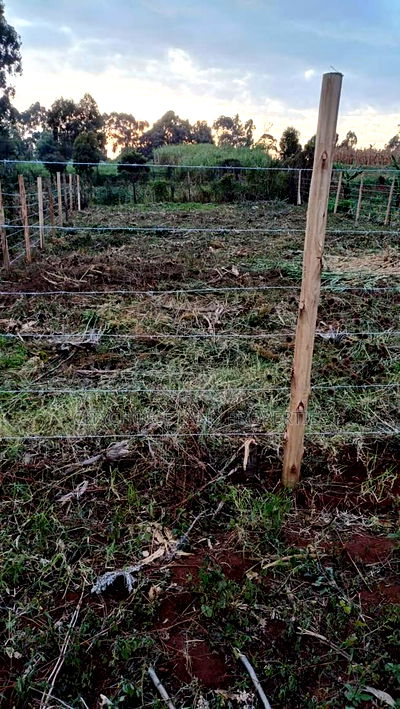 Strategic Plot for Sale - Kikuyu Kerwa - Image 1