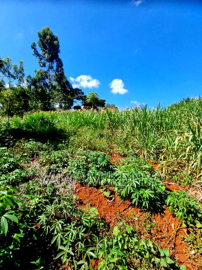 7 Acre for Sale at Kimuka Shopping Center Ngong - Image 2