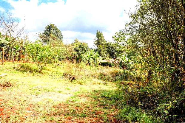Prime Commercial Plot for Sale in Kikuyu, Gitaru.