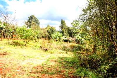 Prime Commercial Plot for Sale in Kikuyu, Gitaru. - Image 4