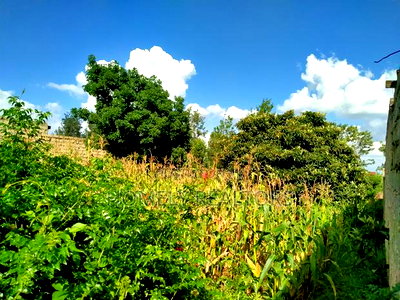 A Full Eighth Acre Commercial Plot in Ongata Rongai, Nkoroi - Image 2