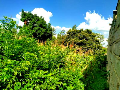 A Full Eighth Acre Commercial Plot in Ongata Rongai, Nkoroi - Image 4