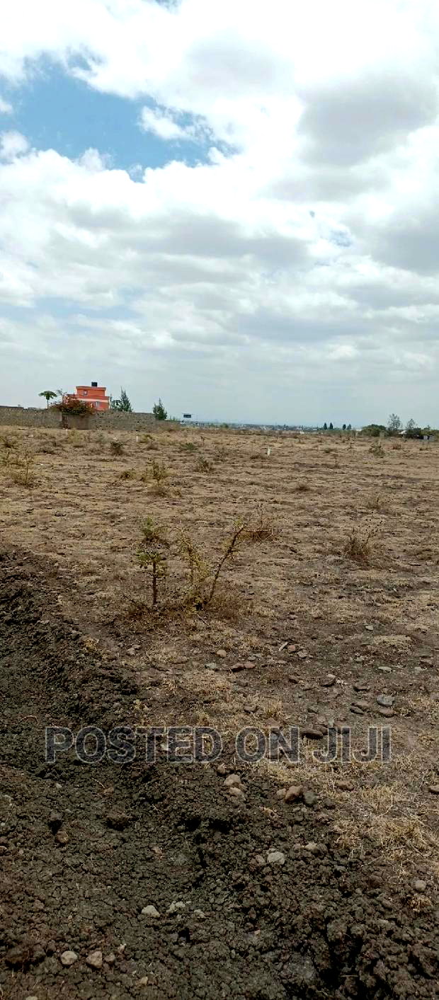 Ruiru Prime Residential Property 50*100 in Size