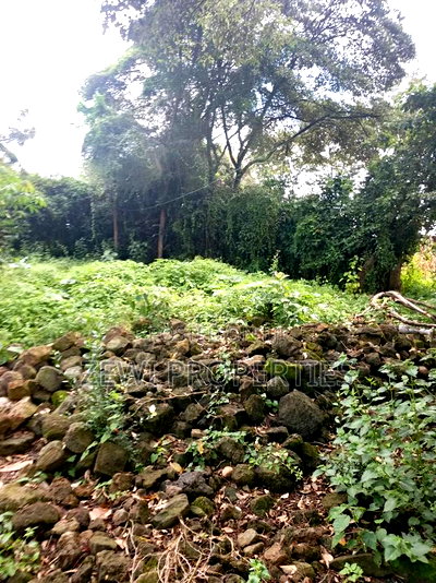 1/8 Acre Kerarapon - Image 6