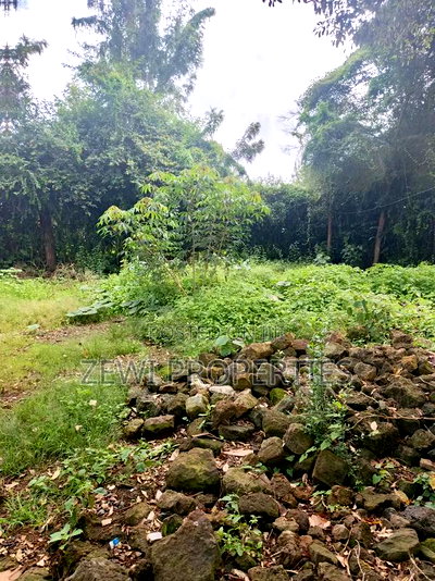 1/8 Acre Kerarapon - Image 5