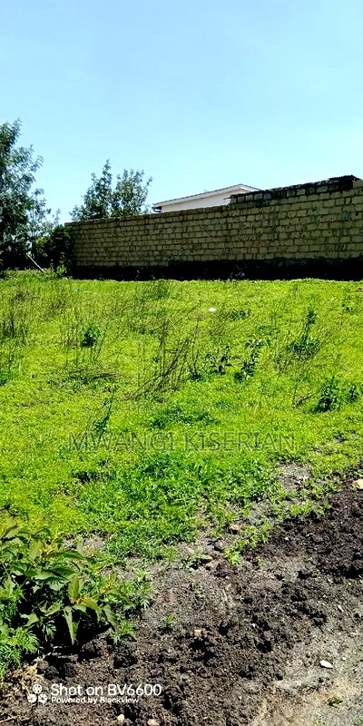 50by100 for Sale in Kiserian GP - Image 2