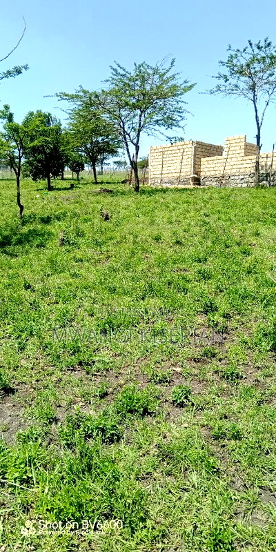 50by100 for Sale in Kiserian GP - Image 14